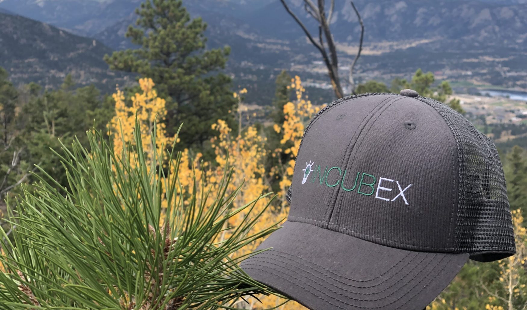 Black IncubEx hat with scenic background