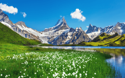 EEX expands environmental product suite with UK ETS derivatives